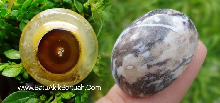 Batu Akik Langka dan Bertuah